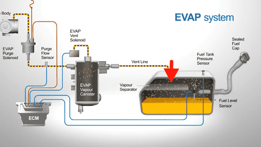 How does the Purge Valve work?