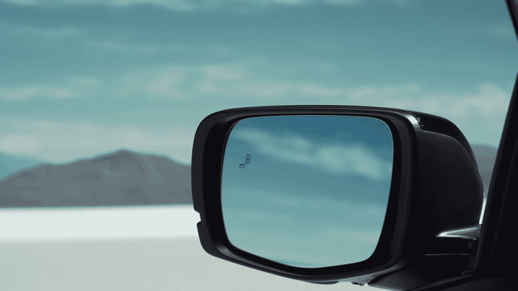 What is a Blind Spot?